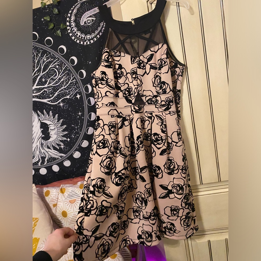 Enfocus studio cream and black lace dress size 14